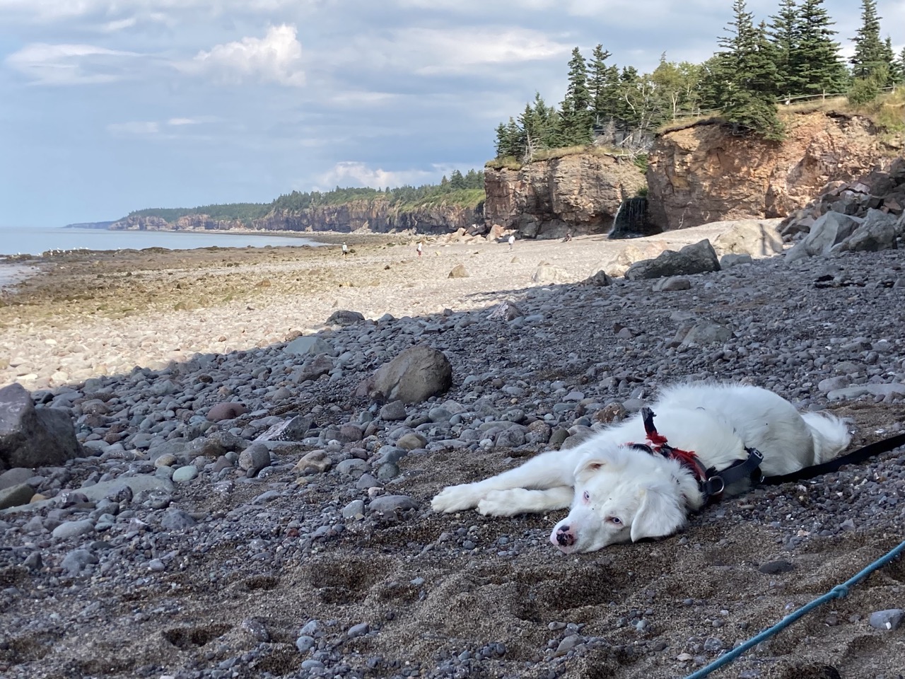 When I have something I feel like sharing, maybe I'll put it here...